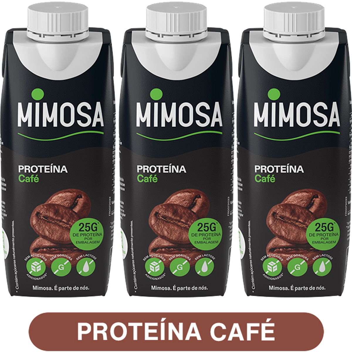 Leite Proteína Café sem Lactose Pack 3 embalagem 250 ml