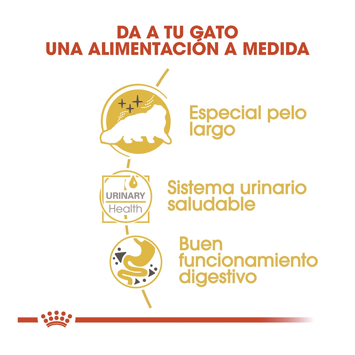 Comida húmeda para gatos adultos Royal Canin Persa 85 g 4