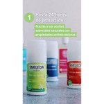 Roll-on-Deo Citrus 50 ml 24 Stunden Wirkung, ohne Aluminiumsalze