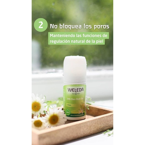 Roll-on-Deo Citrus 50 ml 24 Stunden Wirkung, ohne Aluminiumsalze