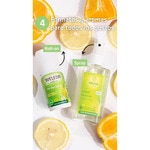 Roll-on-Deo Citrus 50 ml 24 Stunden Wirkung, ohne Aluminiumsalze
