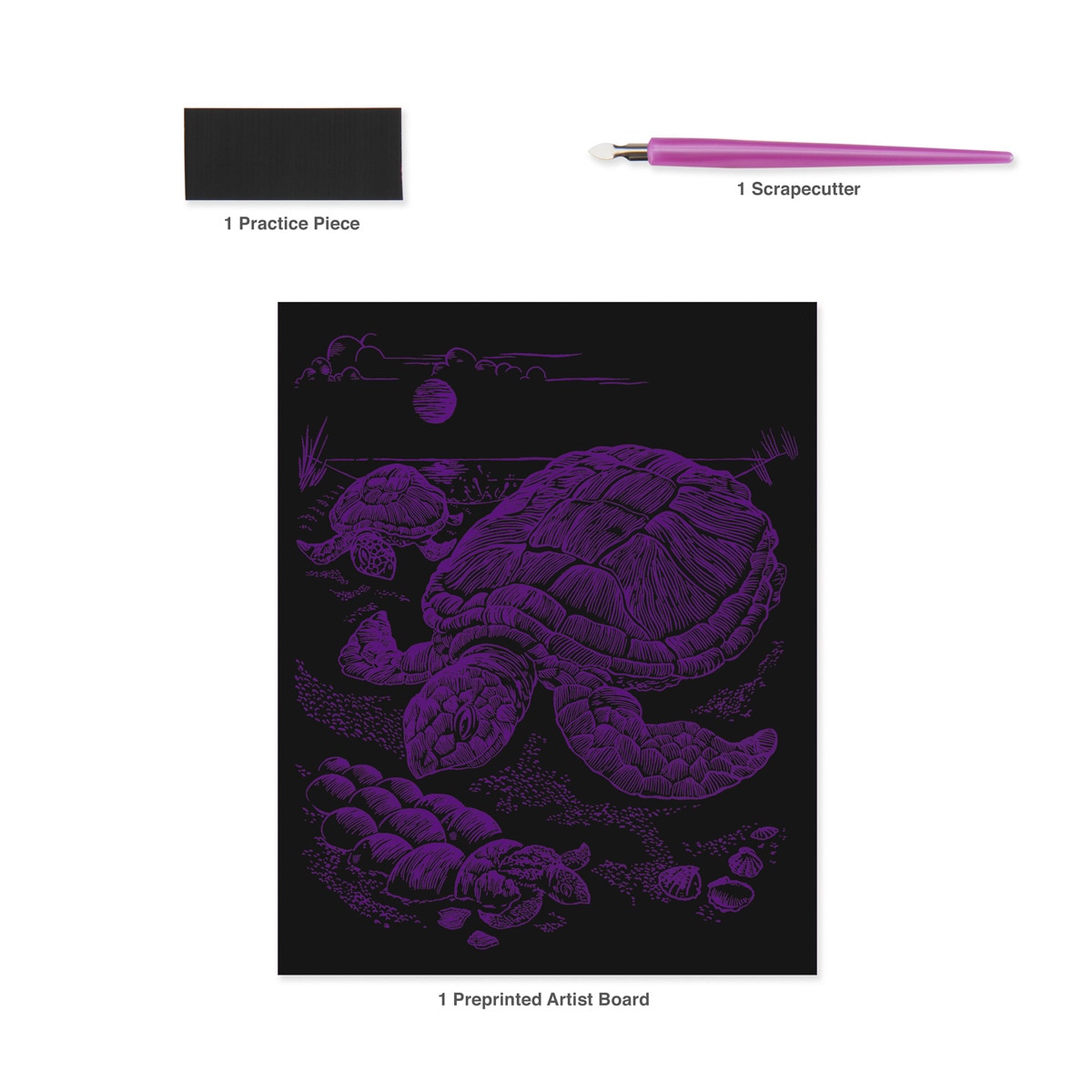 Lámina grabado Engraving Art Holografico dibujo Tortuga marina Royal & Langnickel 5