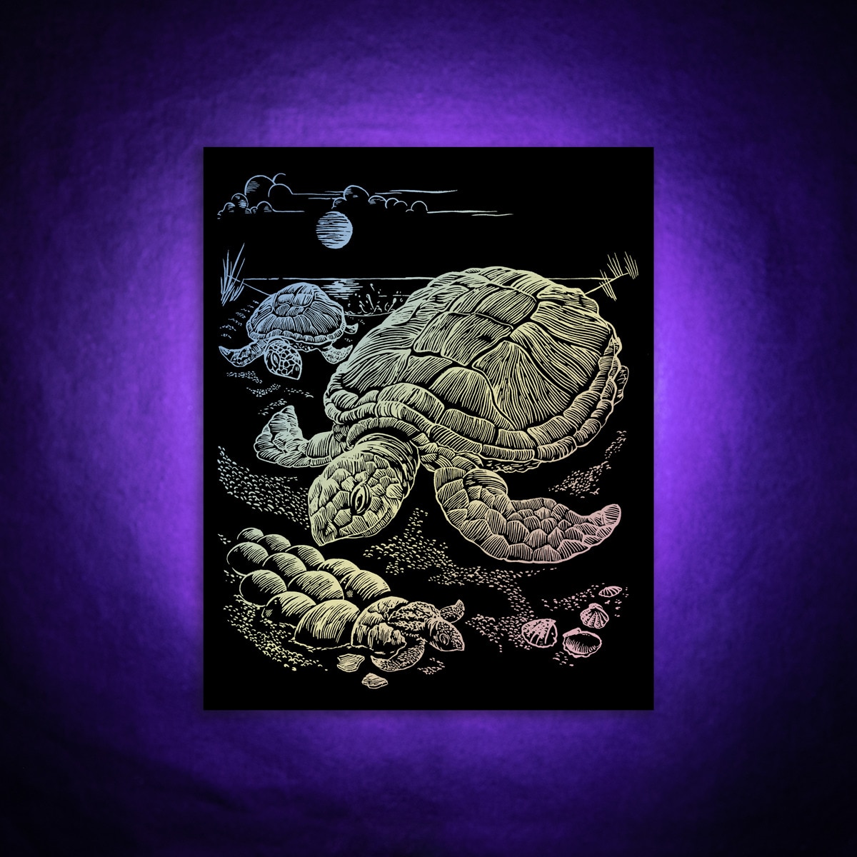 Lámina grabado Engraving Art Holografico dibujo Tortuga marina Royal & Langnickel 4