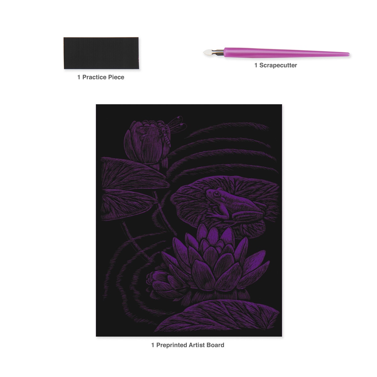 Lámina grabado Engraving Art Holografico dibujo Estanque ranas Royal & Langnickel 5