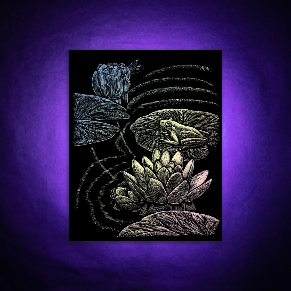 Lámina grabado Engraving Art Holografico dibujo Estanque ranas Royal & Langnickel 4