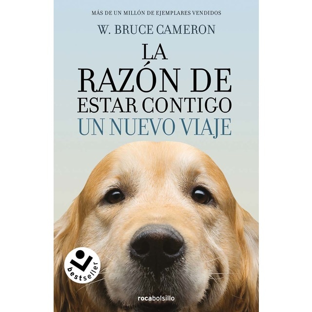 Imagen 0 de La razón de estar contigo 2 - Un nuevo viaje  (Bolsillo) (Tapa blanda)