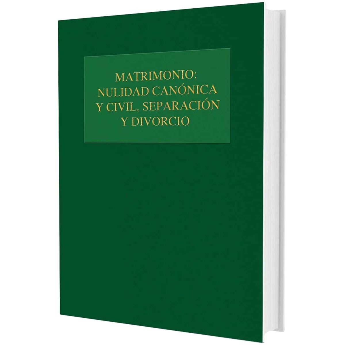 Imagem 0 de Matrimonio: nulidad canónica y civil, separación y divorcio(Tapa dura)