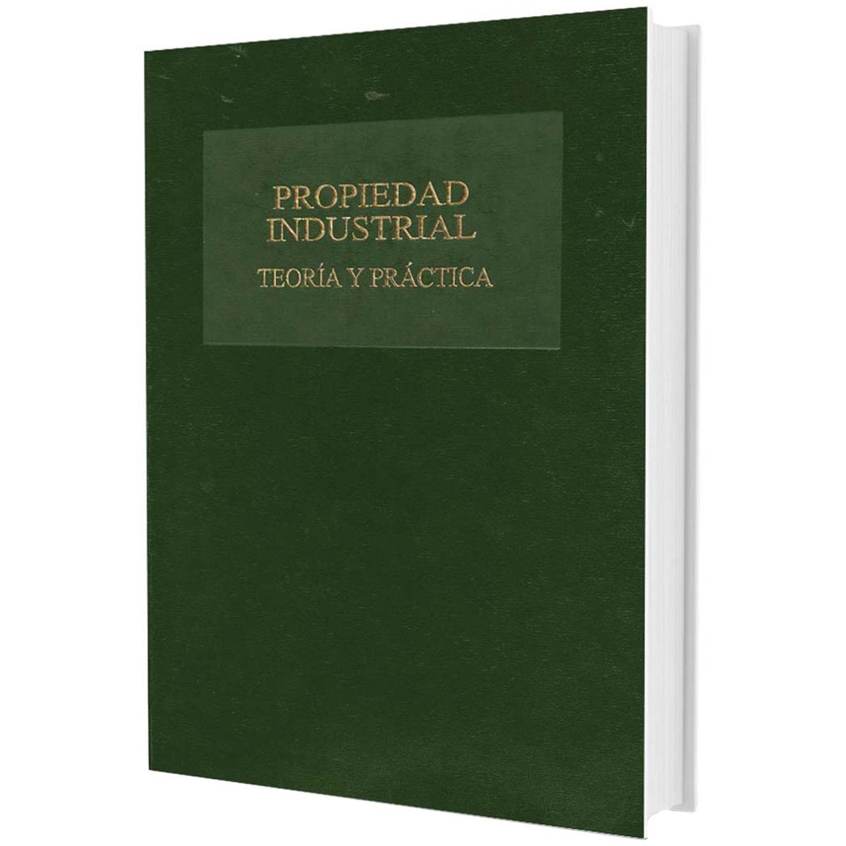 Imagem 0 de Propiedad industrial: Teoría y práctica(Tapa dura)