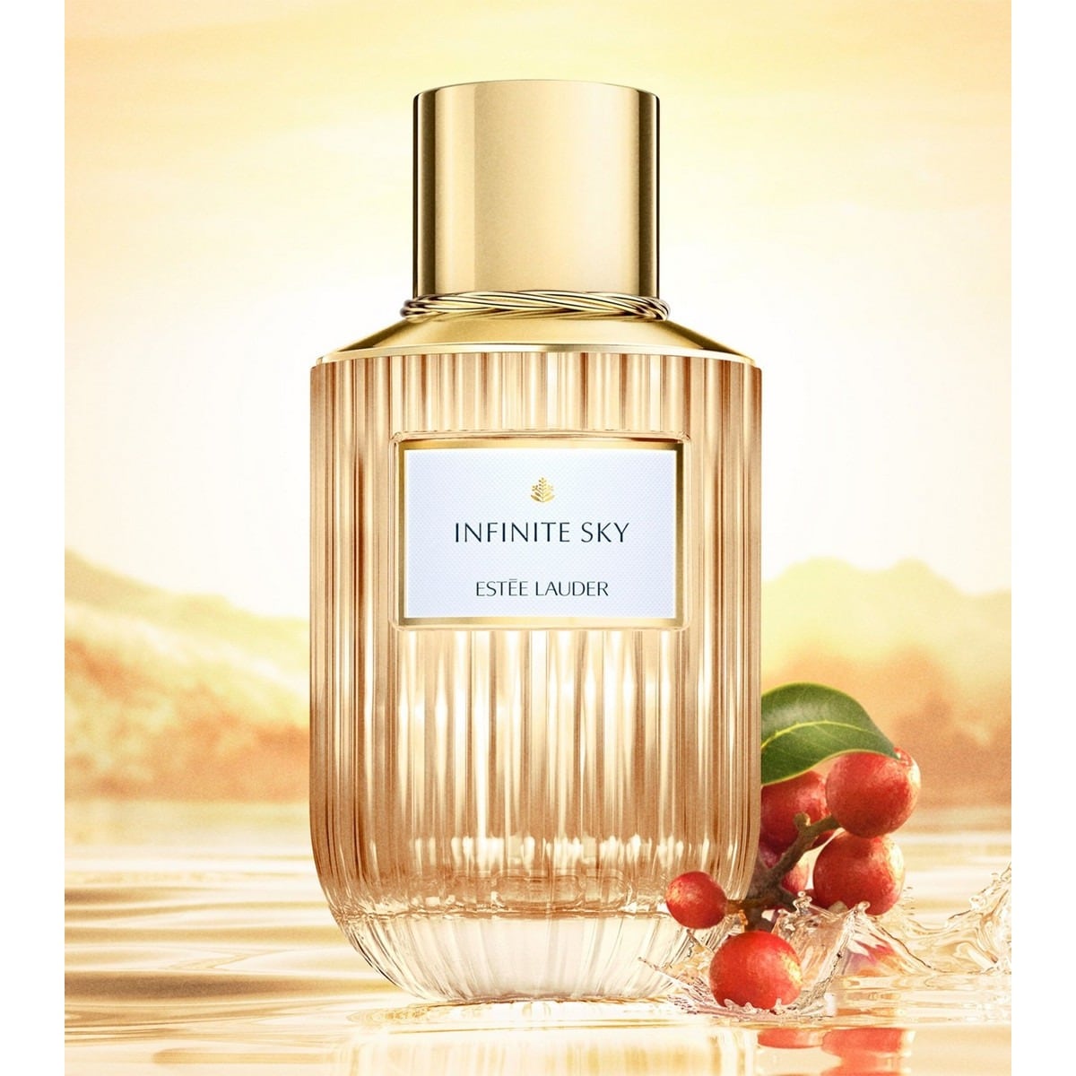 Infinite Sky Eau de Parfum - 100 ml 2