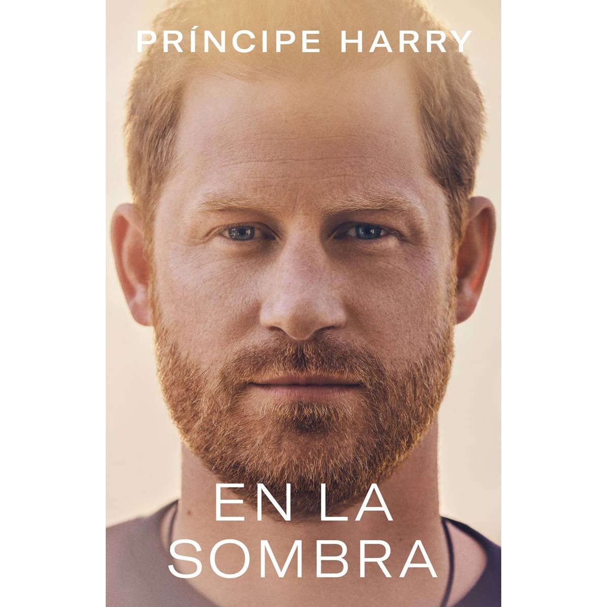En la sombra (Bolso) 1