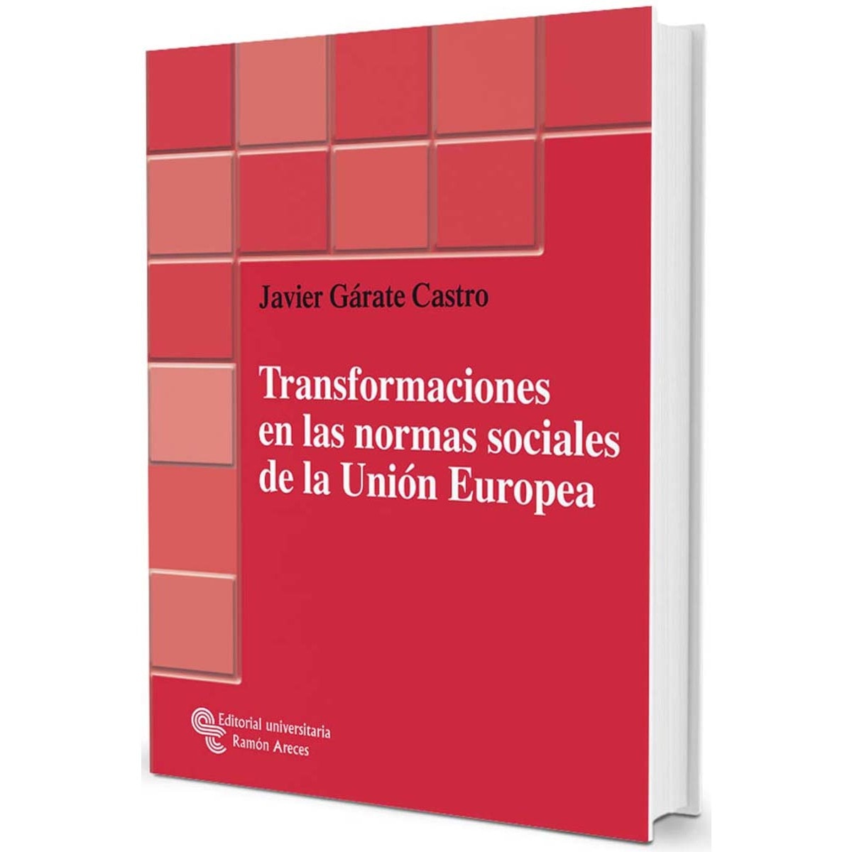 Imagem 0 de Transformaciones en las normas sociales de la Unión Europea (Capa mole)
