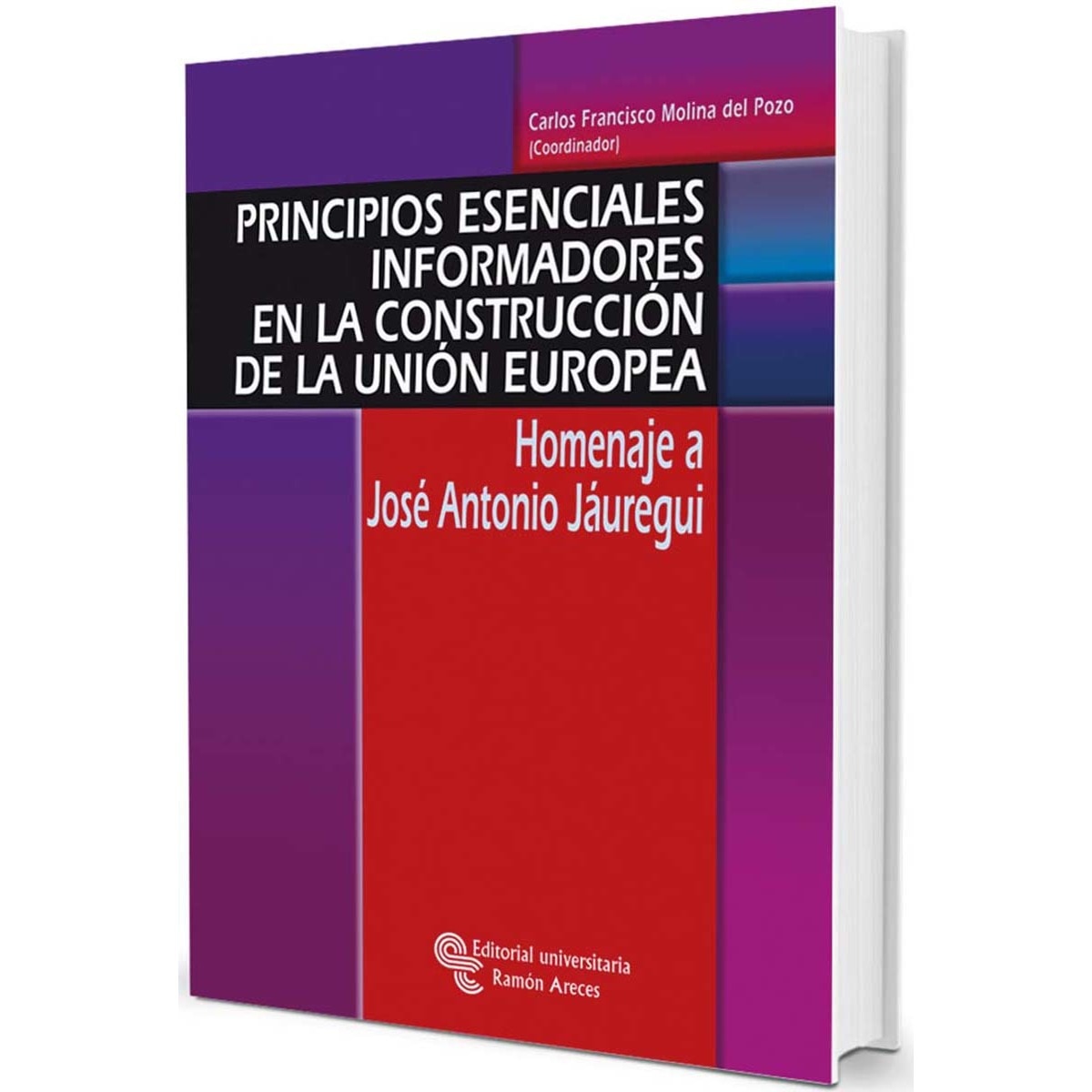 Imagem 0 de Principios esenciales informadores en la construcción de la Unión Europea (Capa mole)