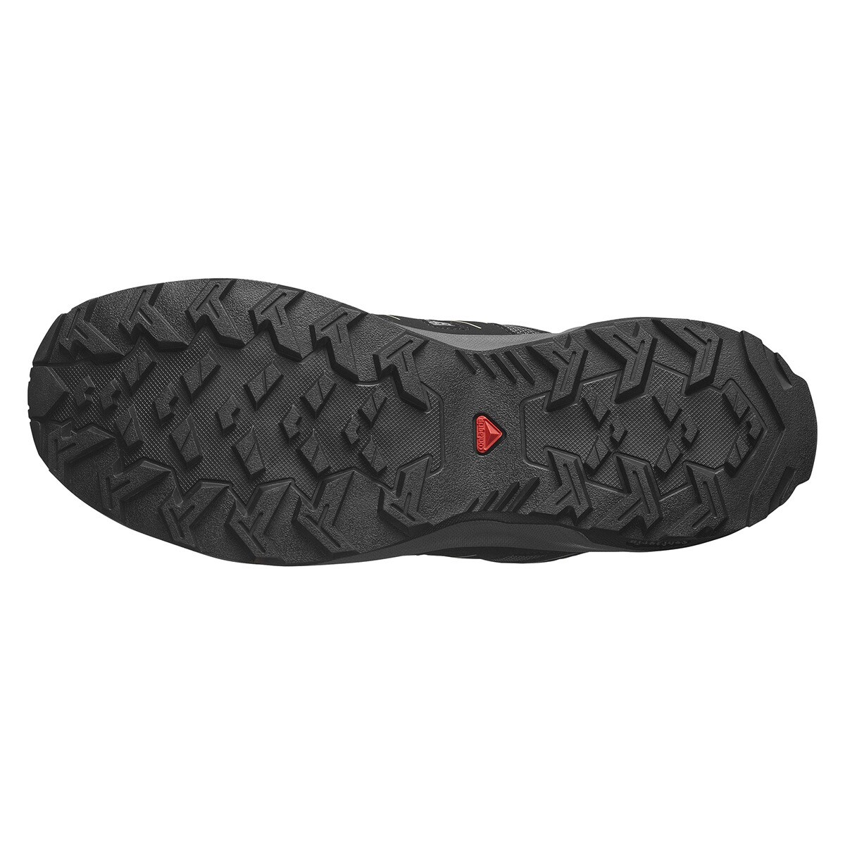 Sapatilhas de Montanha Grivola Cinzento-6