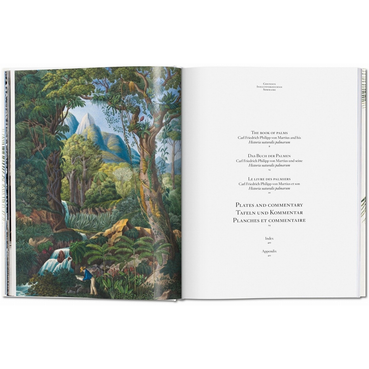 Martius. The Book of Palms (Capa dura) 6