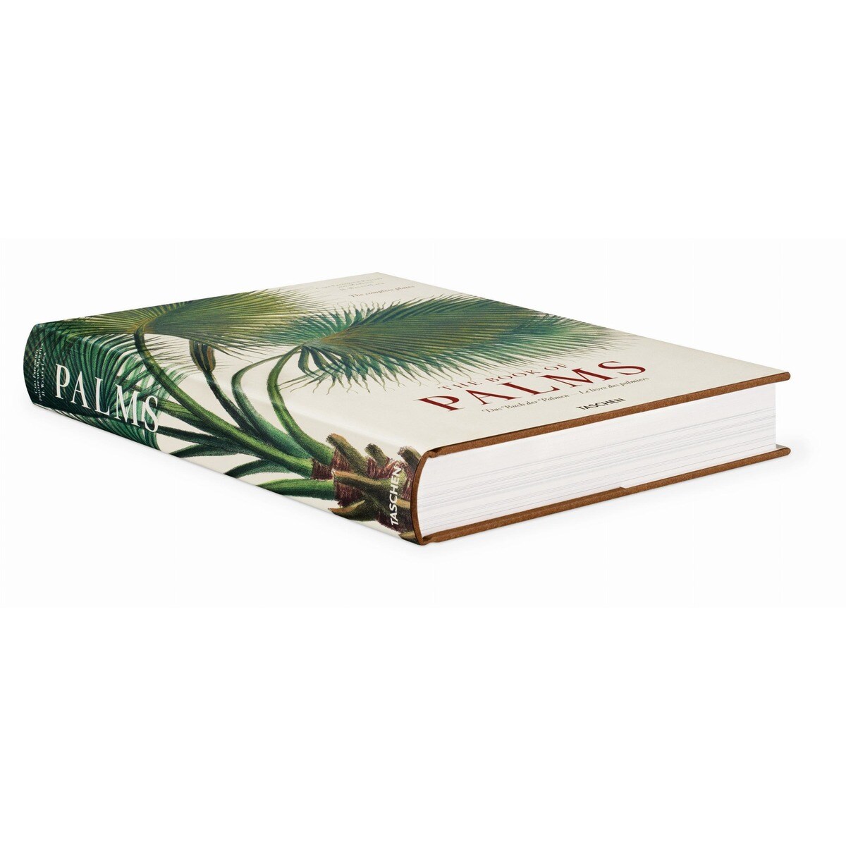 Martius. The Book of Palms (Capa dura) 8