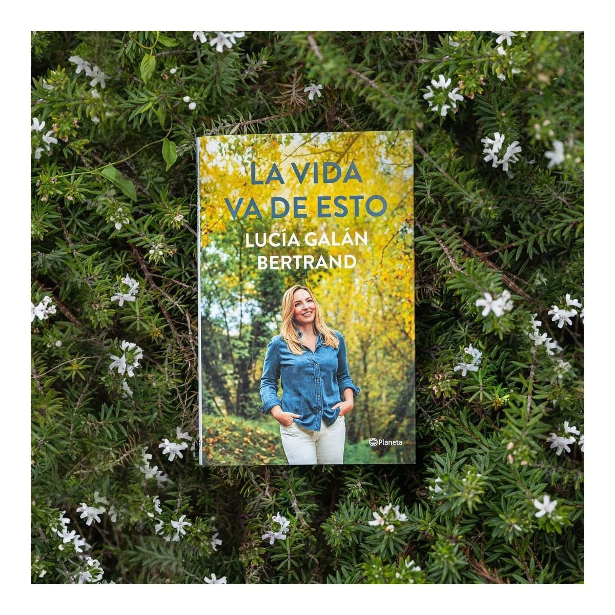 La vida va de esto 3