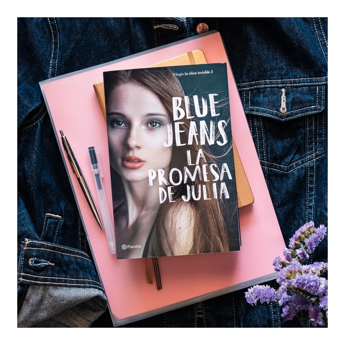 La promesa de Julia  (Tapa blanda con solapas) 2