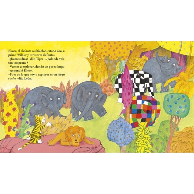 Elmer. Un cuento - Elmer y el tesoro perdido (Capa dura) 4