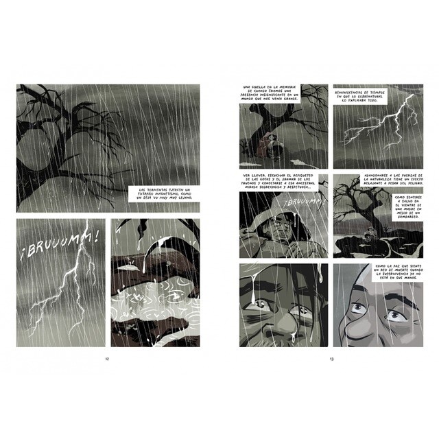 Boomers  (Tapa dura) 2