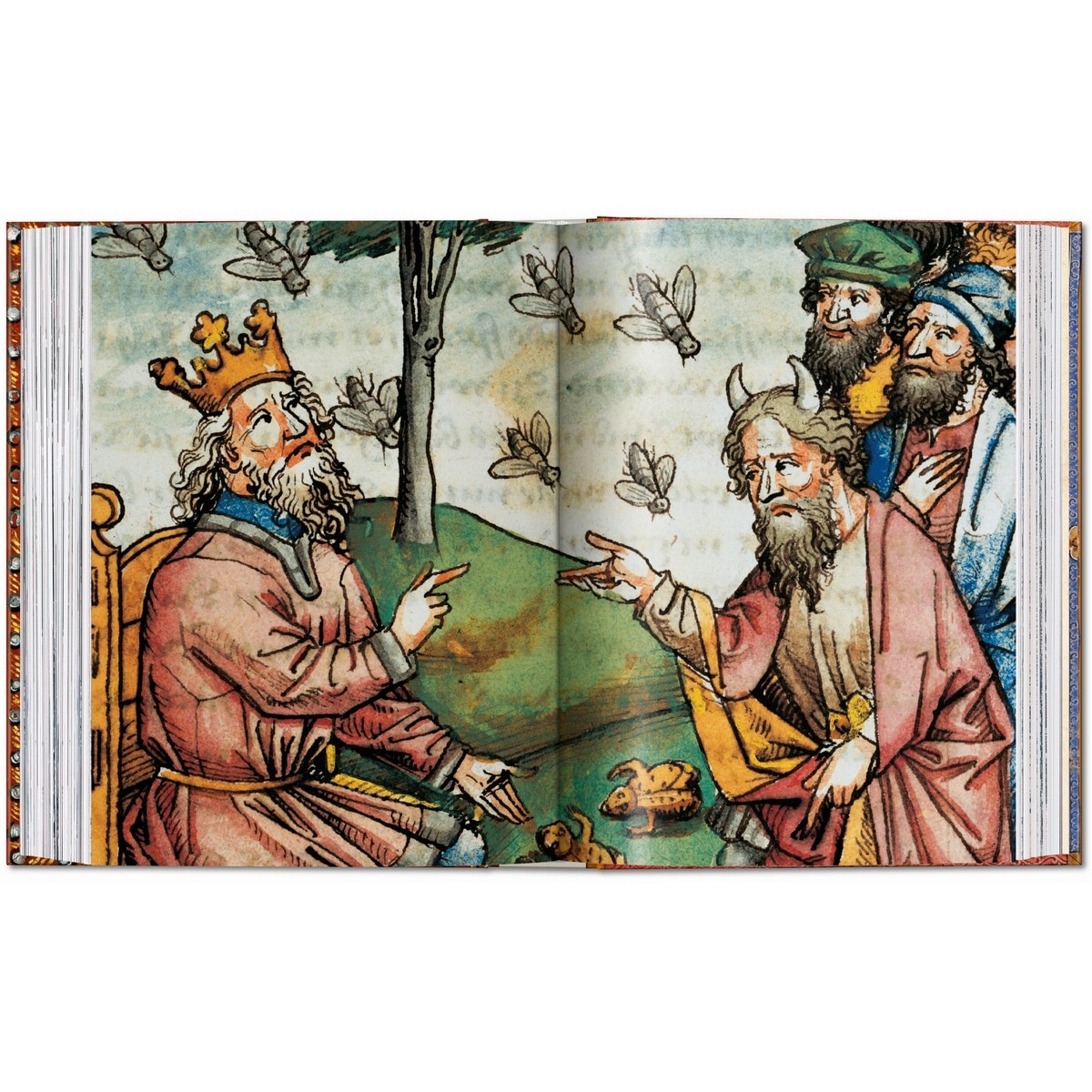 ll libro delle Bibbie. 40th Ed. (Capa dura) 2