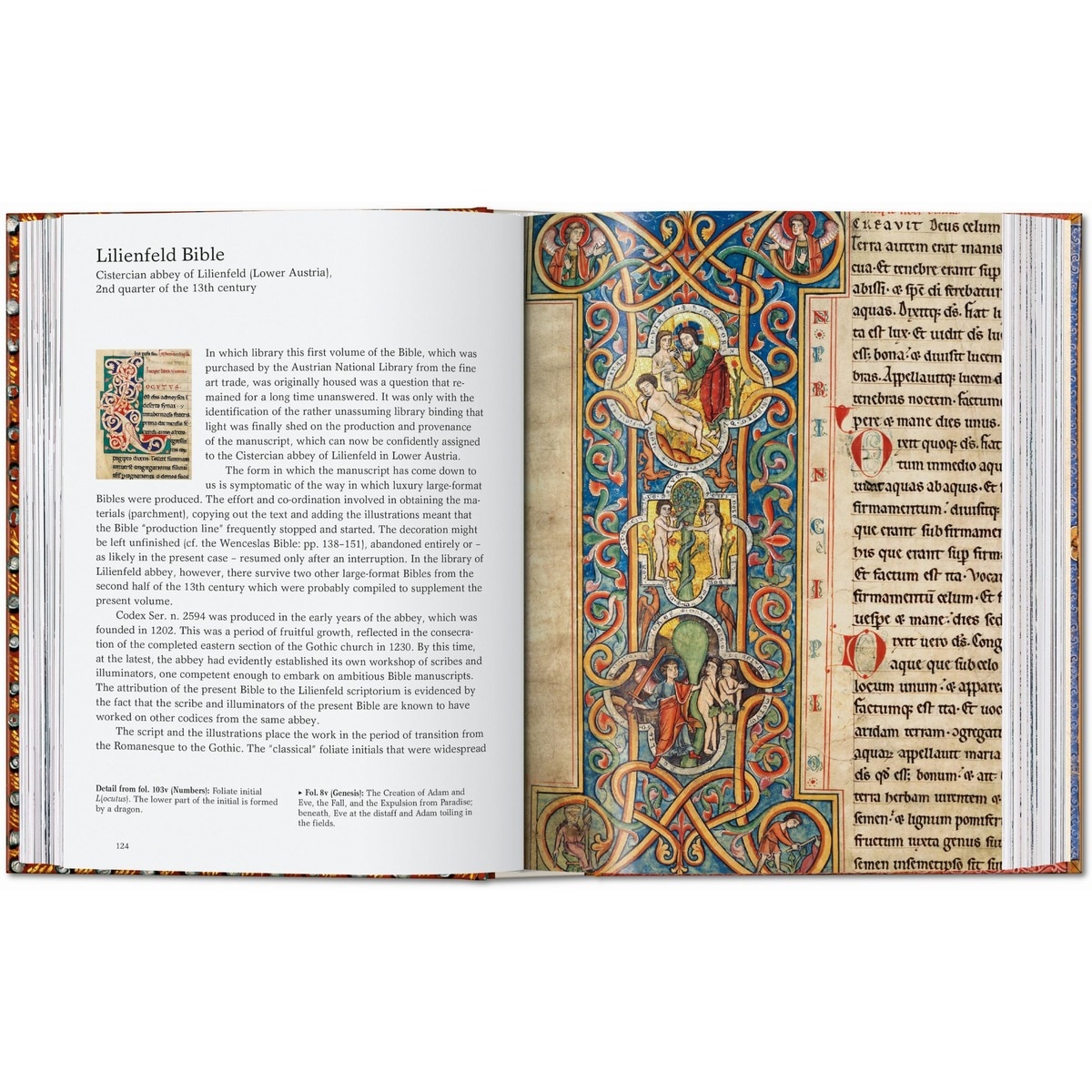 ll libro delle Bibbie. 40th Ed. (Capa dura) 3