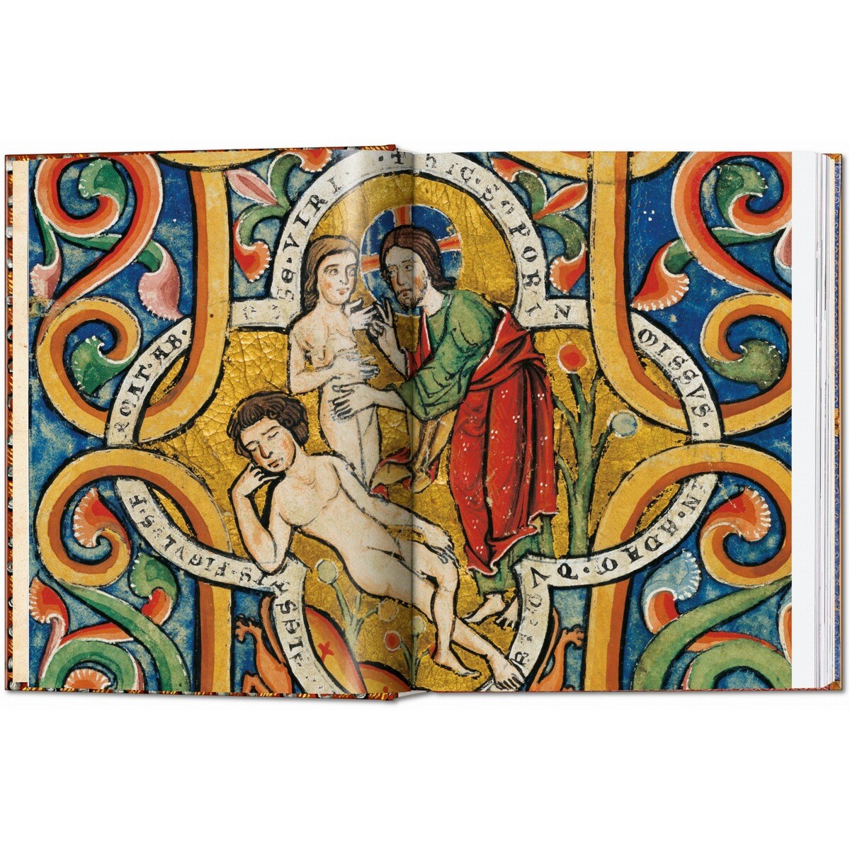 ll libro delle Bibbie. 40th Ed. (Capa dura) 7