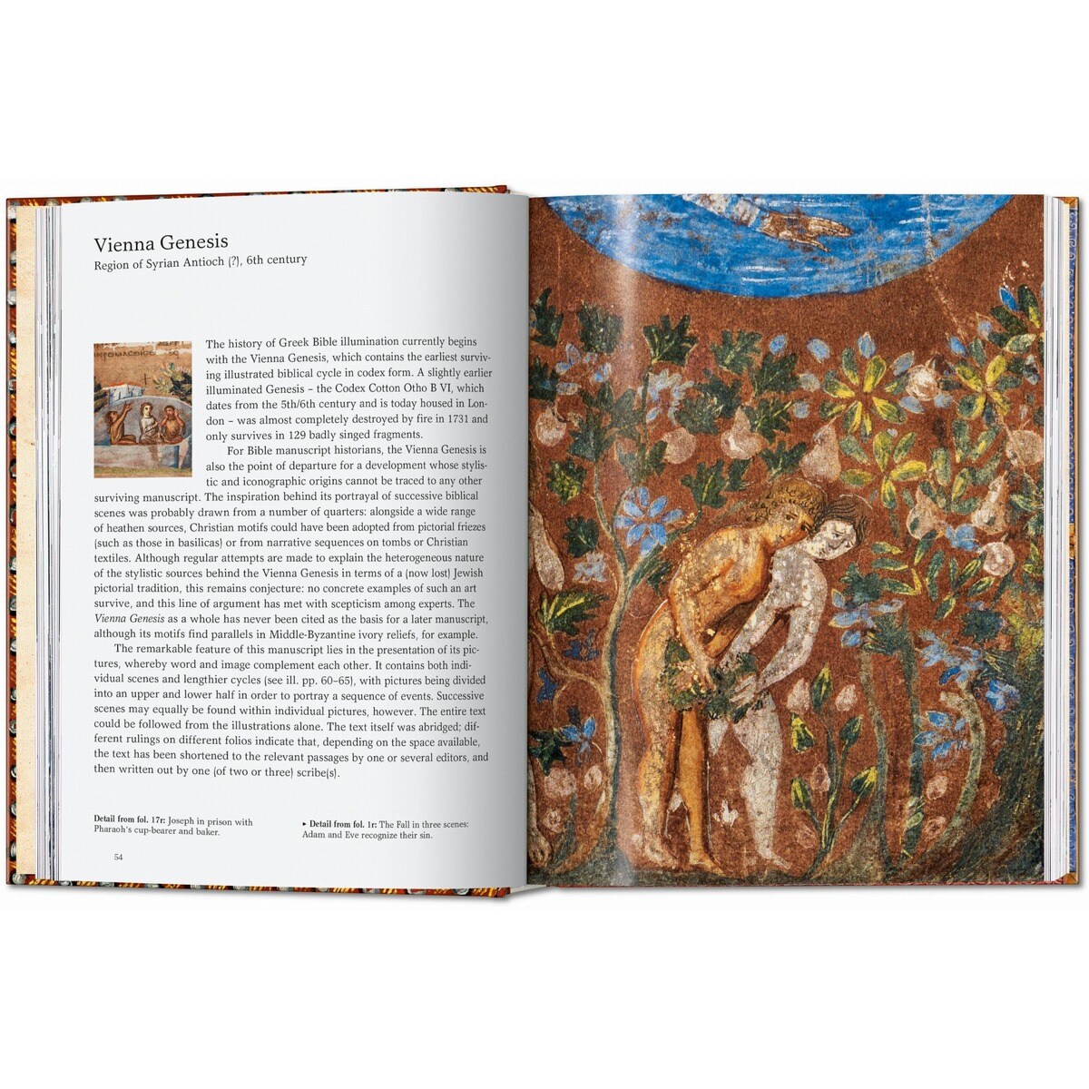 ll libro delle Bibbie. 40th Ed. (Capa dura) 9