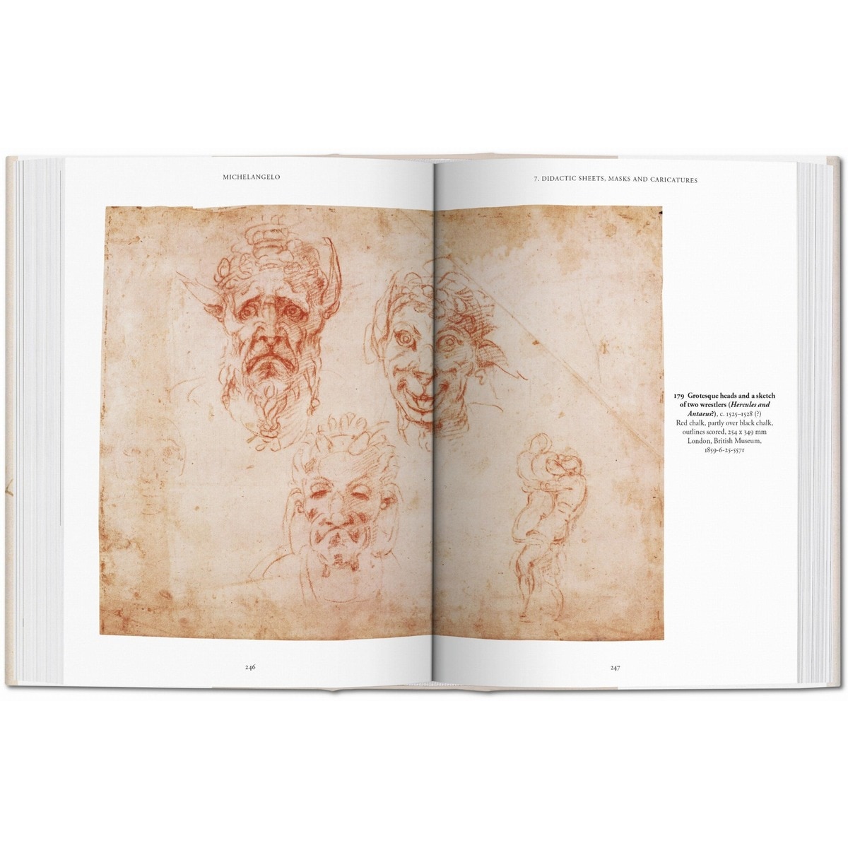 Michelangelo. Disegni (Capa dura) 6