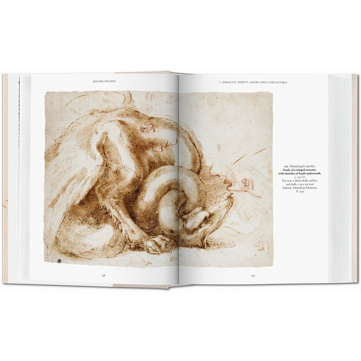 Michelangelo. Disegni (Capa dura) 7