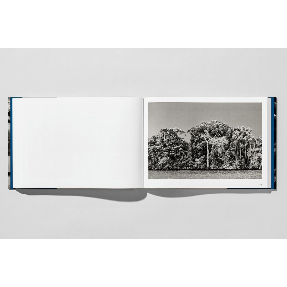 Sebastião Salgado. Amazônia (Capa dura) 14