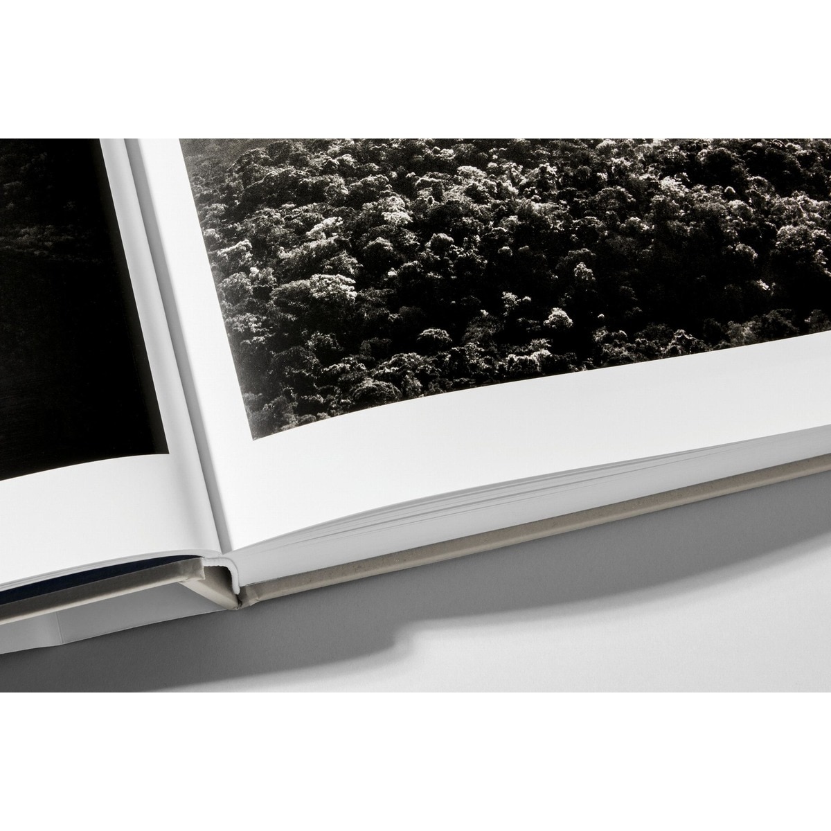 Sebastião Salgado. Amazônia (Capa dura) 17