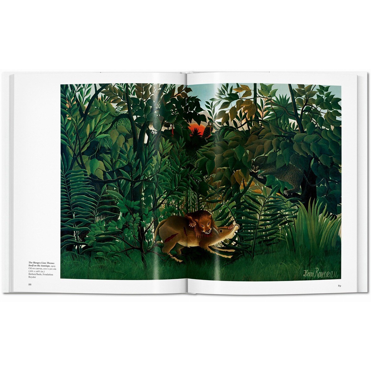 Rousseau (Capa dura) 6