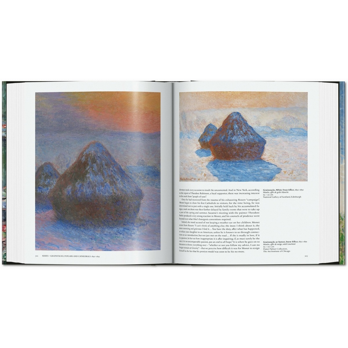 Monet. O Triunfo do Impressionismo (Capa dura) 9