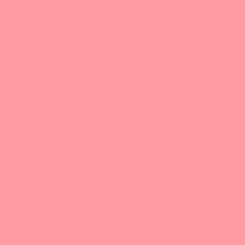 Rose 258