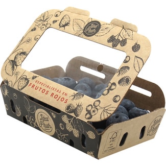 arándano ecológico tarrina 125 g - Ideal Fruits