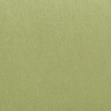 Verde / Verde-claro