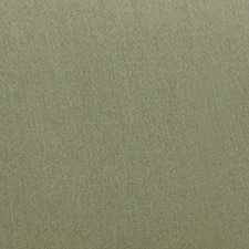 Verde / Verde Oscuro