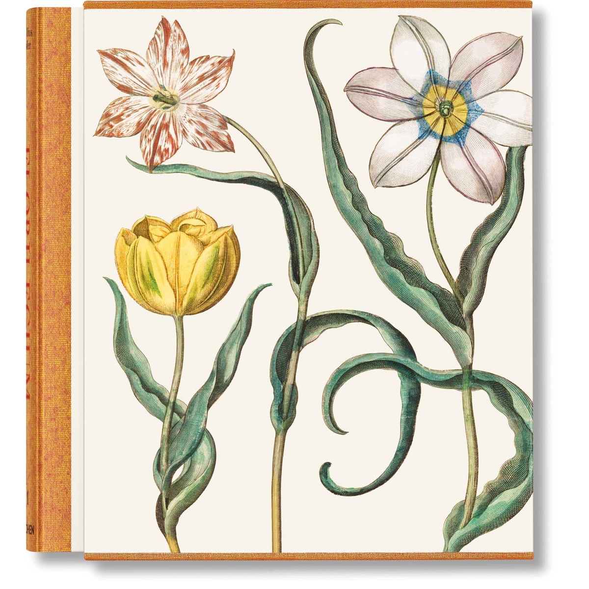 Imagem 0 de Basilius Besler. The Garden at Eichstätt (Capa dura)