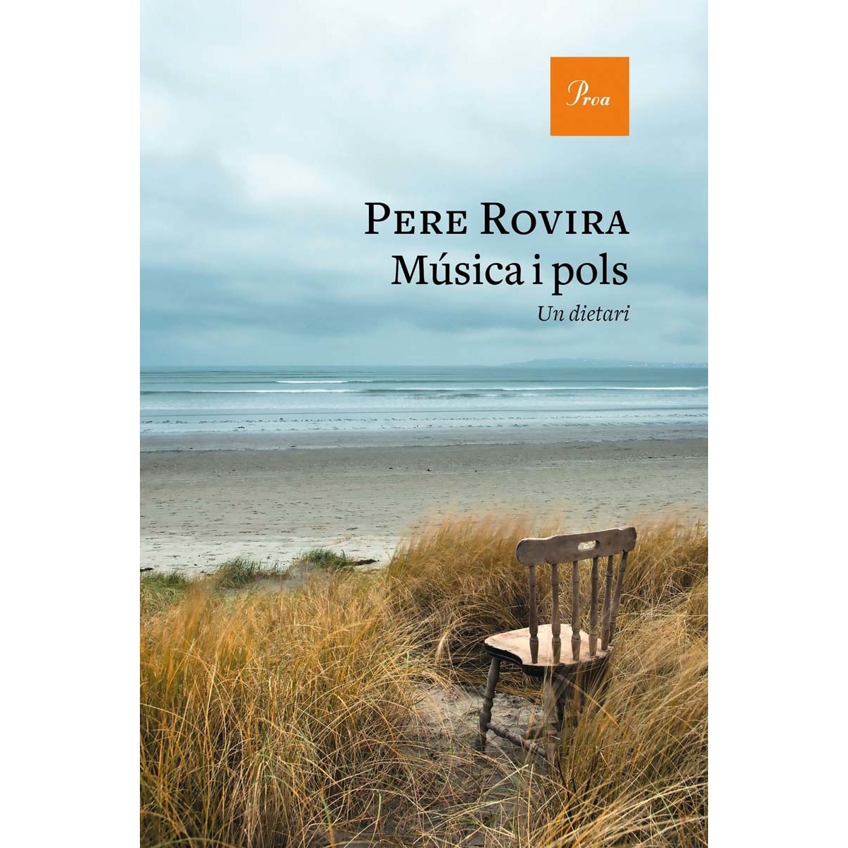 Imagem 0 de Música i pols: Un dietari (Capa mole com abas)