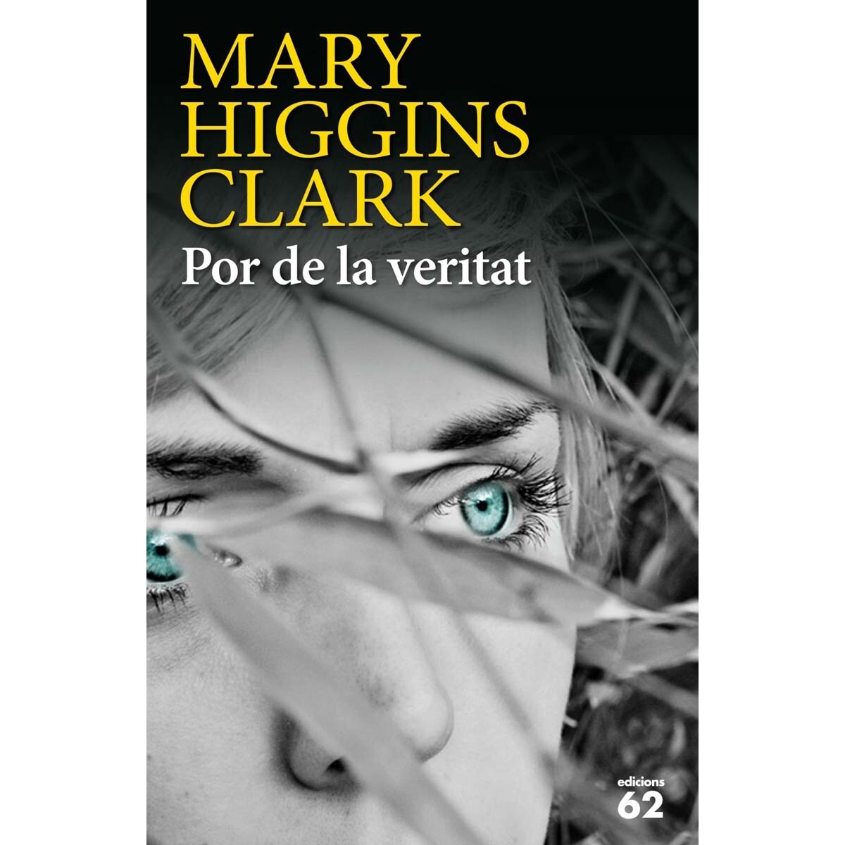 Por de la veritat (Capa mole com abas) 1