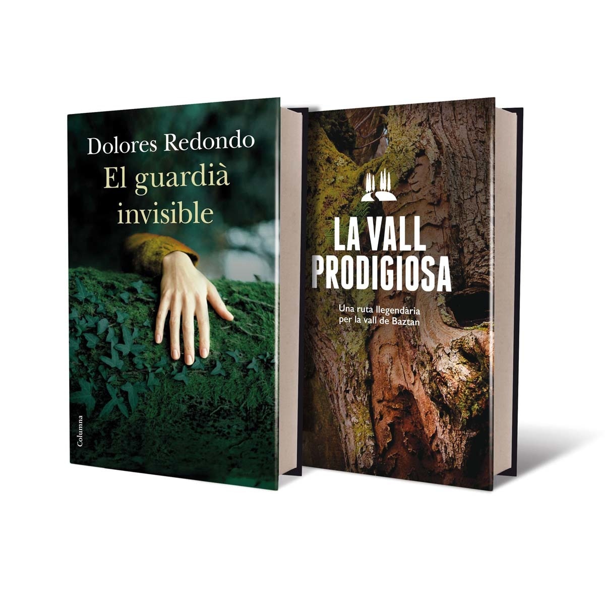 Pack El guardià invisible + Guia de Baztan (Capa mole com abas) 1