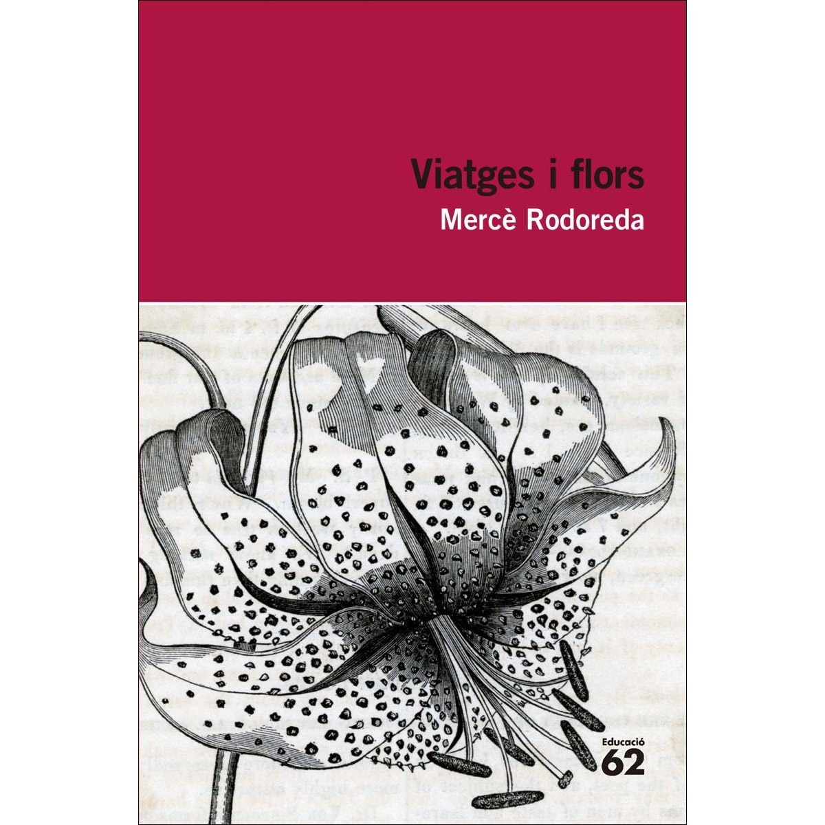 Imagen 1 de Viatges i flors (Tapa blanda)