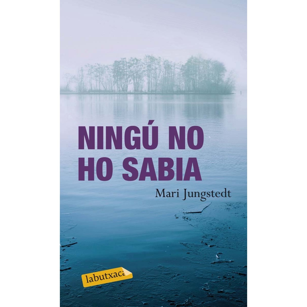Ningú no ho sabia (Bolsillo) (Tapa blanda) 1