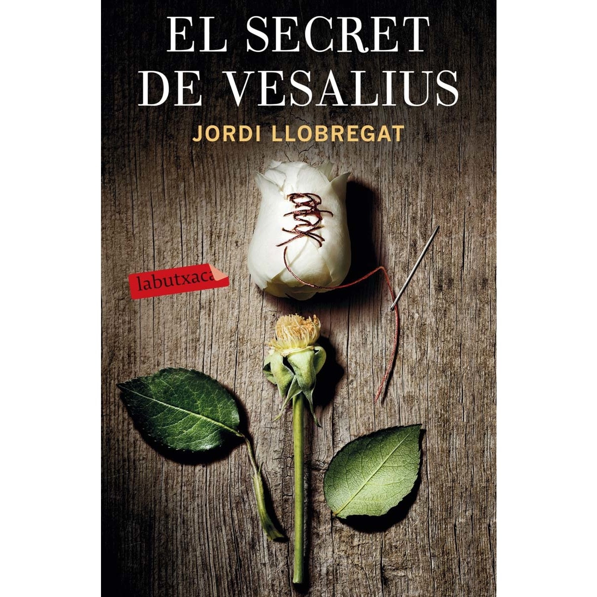 Imagen 0 de El secret de Vesalius (Bolsillo) (Tapa blanda)