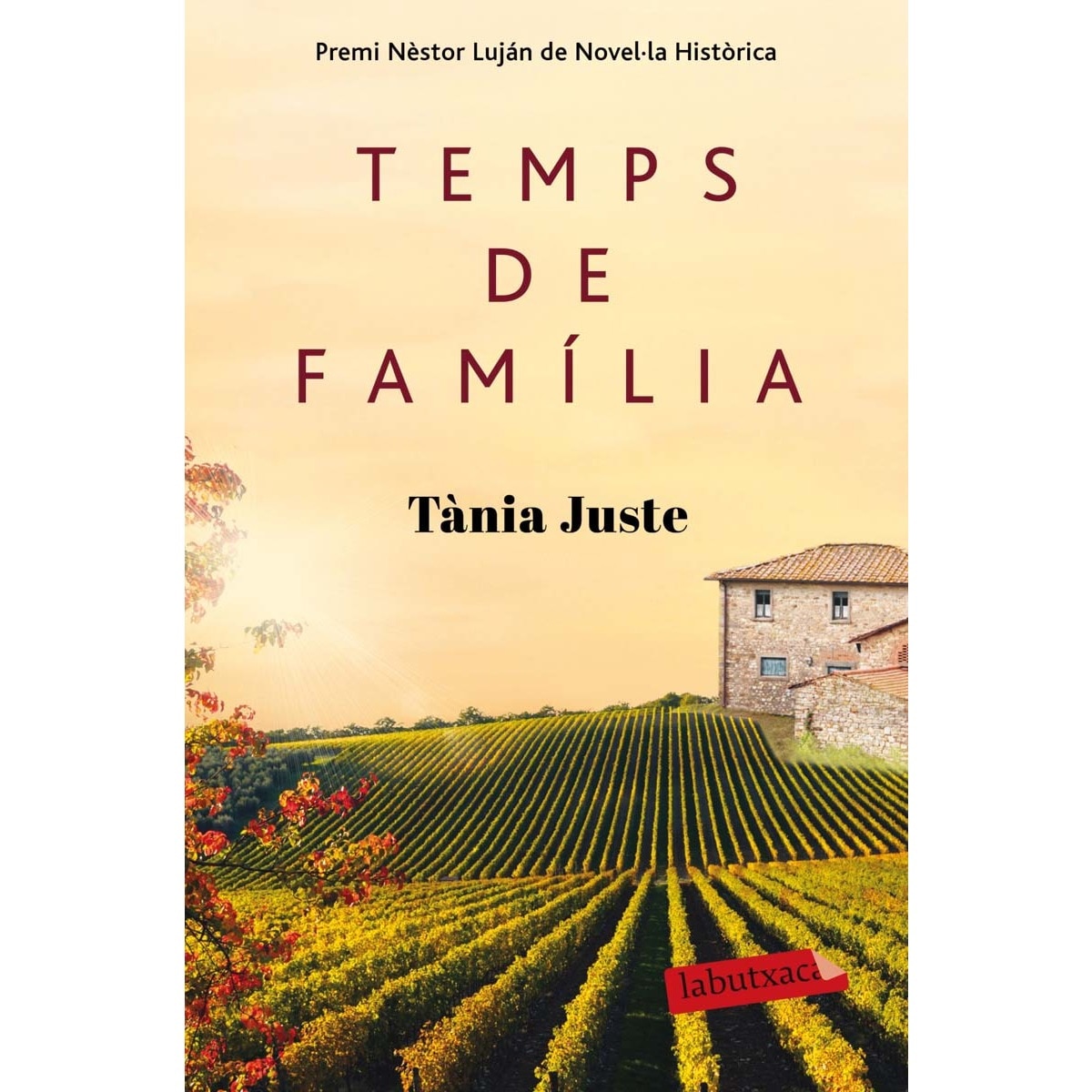 Imagem 0 de Temps de família: Premi Nèstor Luján de Novel·la Històrica 2015 (Bolso) (Capa mole)