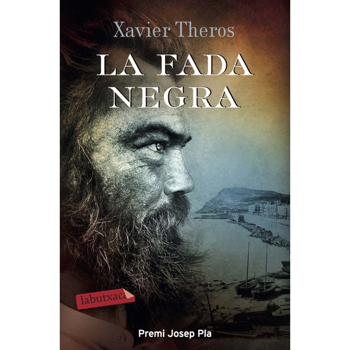 Imagem 0 de La fada negra: Premi Josep Pla 2017 (Bolso) (Capa mole)
