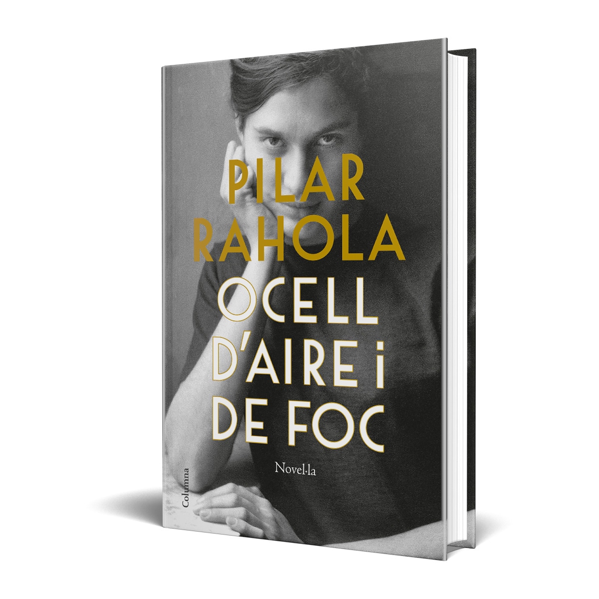 Ocell d'aire i de foc 2