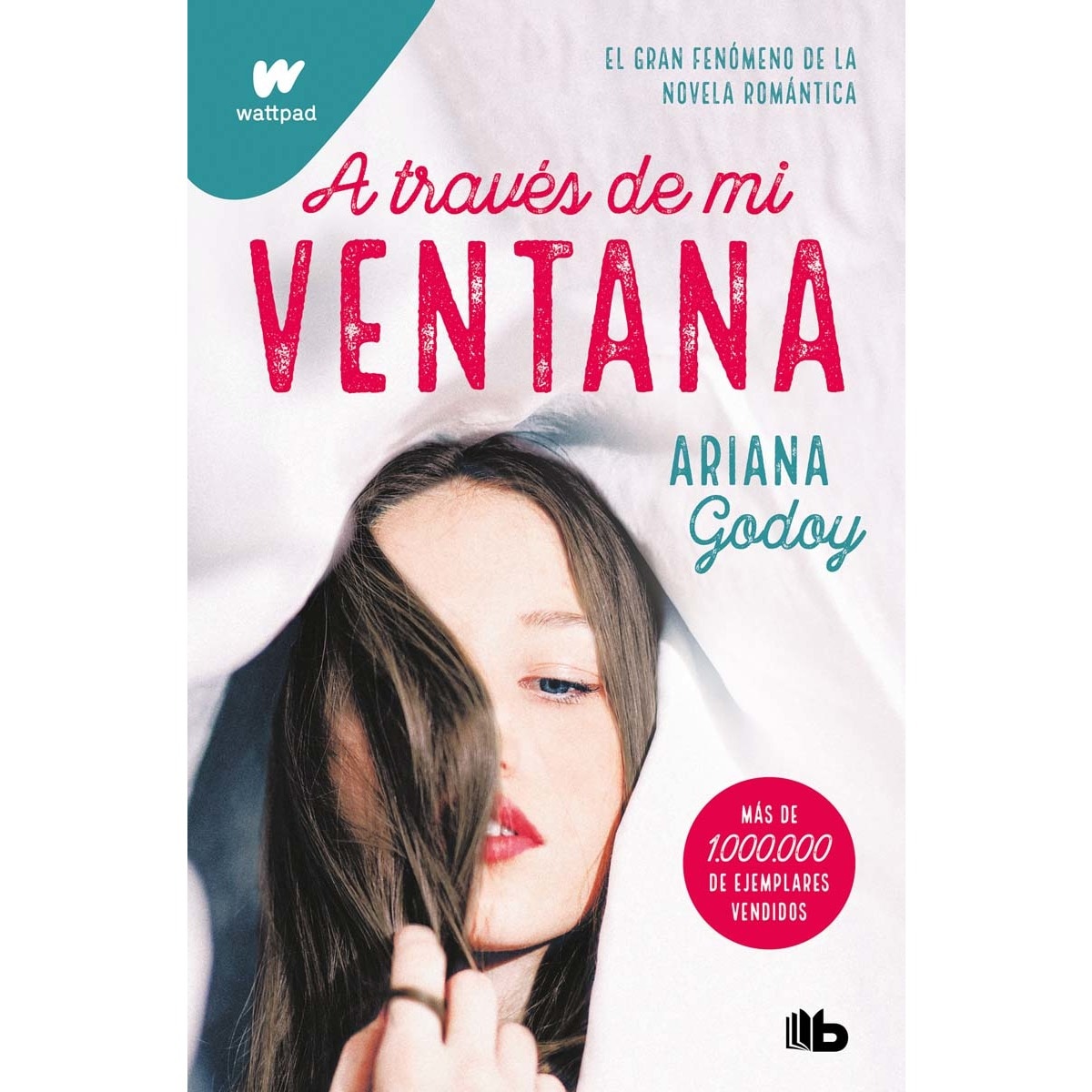 A través de mi ventana (Trilogía Hermanos Hidalgo 1) 1