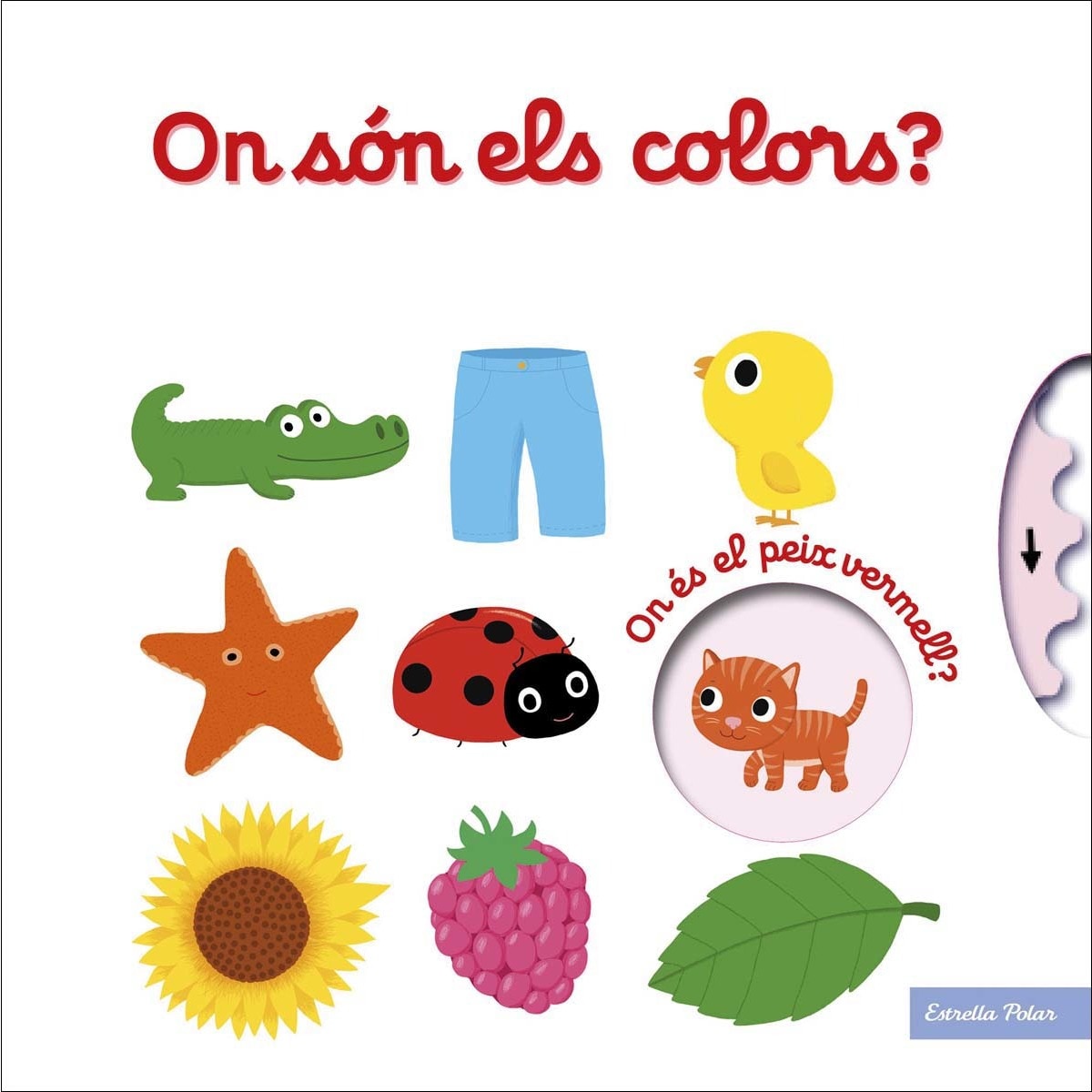On són els colors? 1