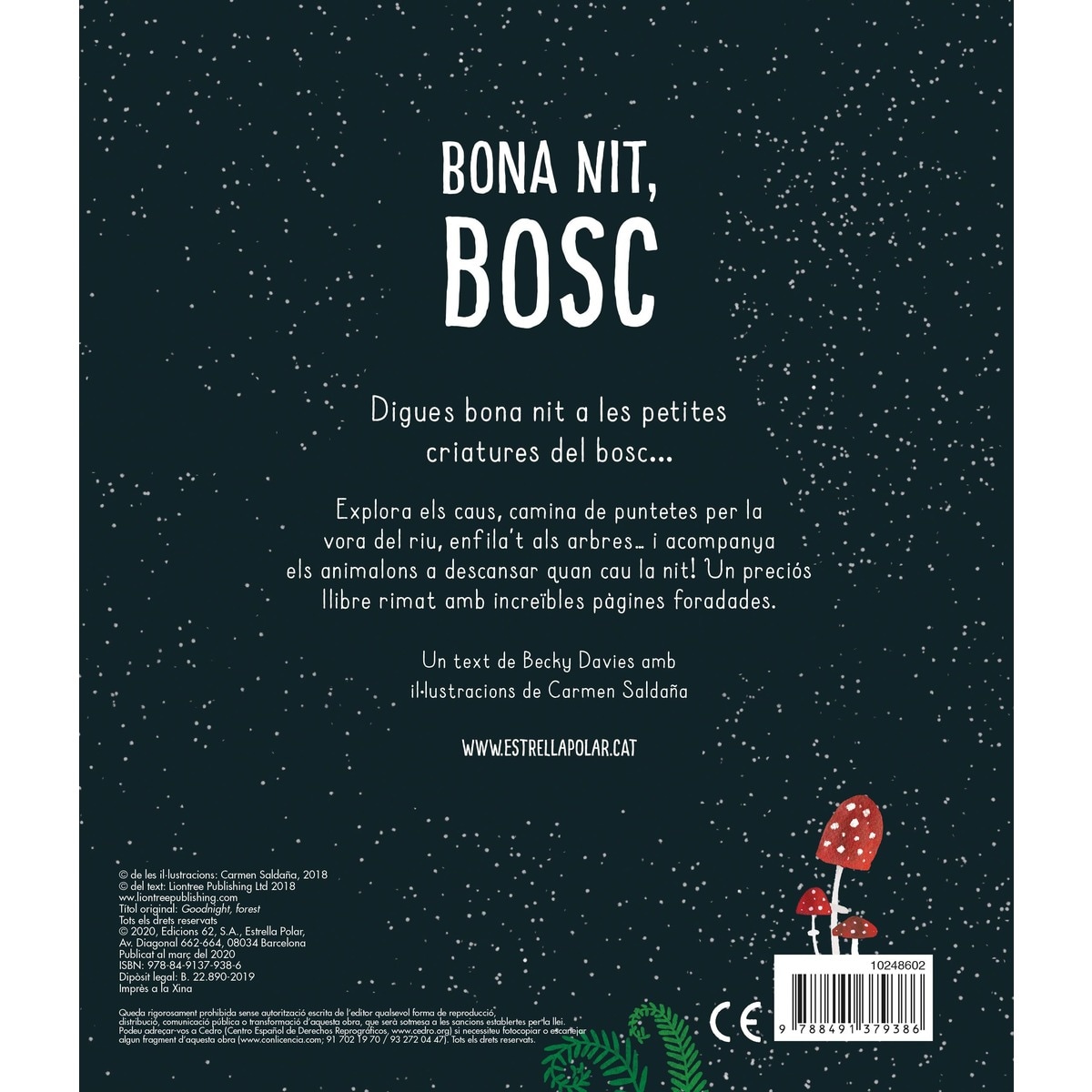 Bona nit, bosc 2